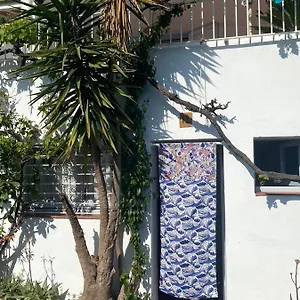 Estudio Boho-chic Nuevo Bien Ubicado Apartamento